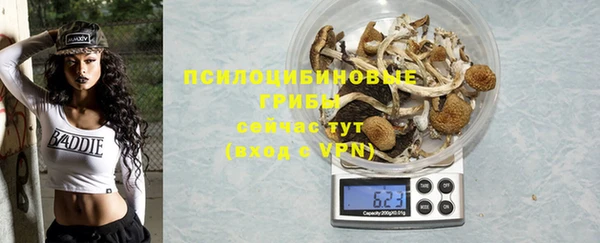 гидра Пролетарск
