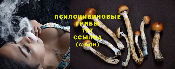 таблы Приозерск