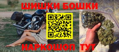 jwh Бийск