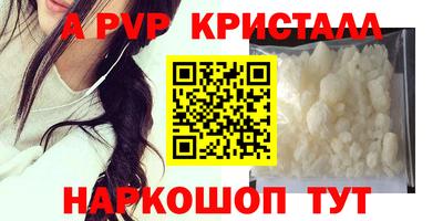 jwh Бийск