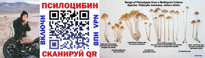 Галлюциногенные грибы прущие грибы  где продают наркотики  mega ссылка  Кунгур 