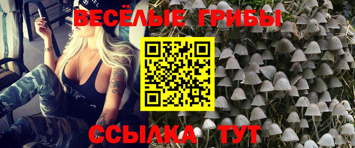 Псилоцибиновые грибы Psilocybine cubensis  Вход с VPN  Кунгур 