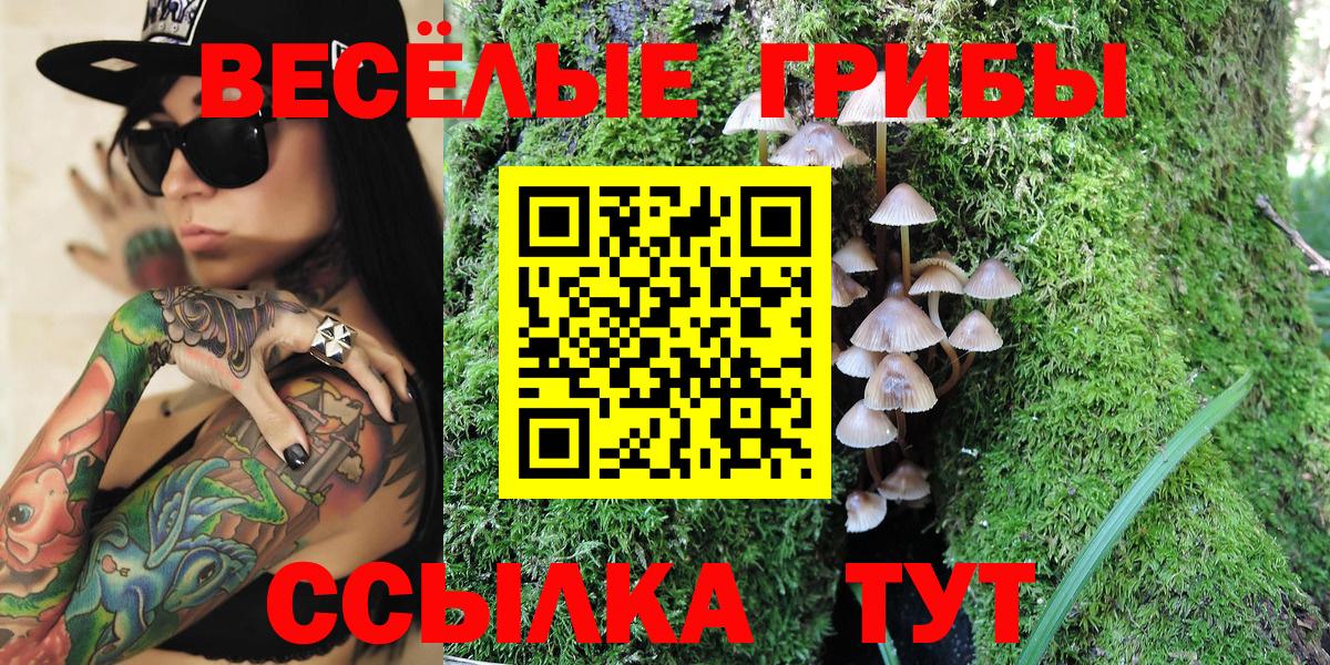 Псилоцибиновые грибы Magic Shrooms Кунгур